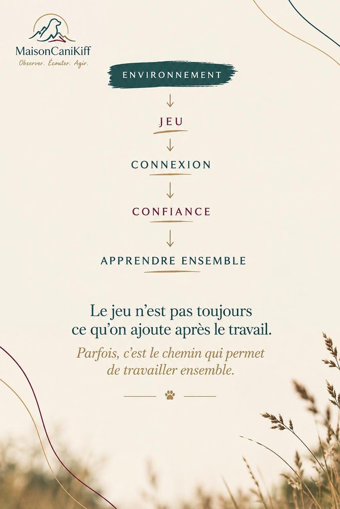ENVIRONNEMENT → JEU → CONNEXION → CONFIANCE Maison CaniKiff Renaud Bervil