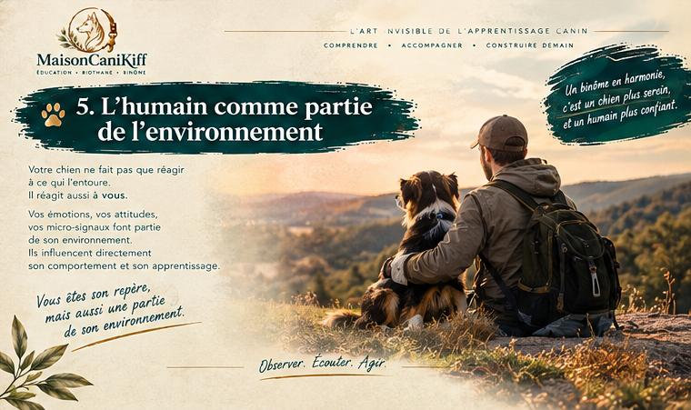  éducateur canin renaud bervil Apprentissage canin Maison canikiff laval