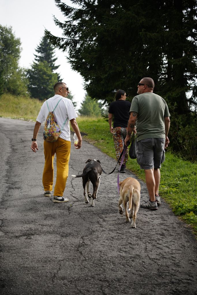 Maison canikif chien detendu en Mayenne