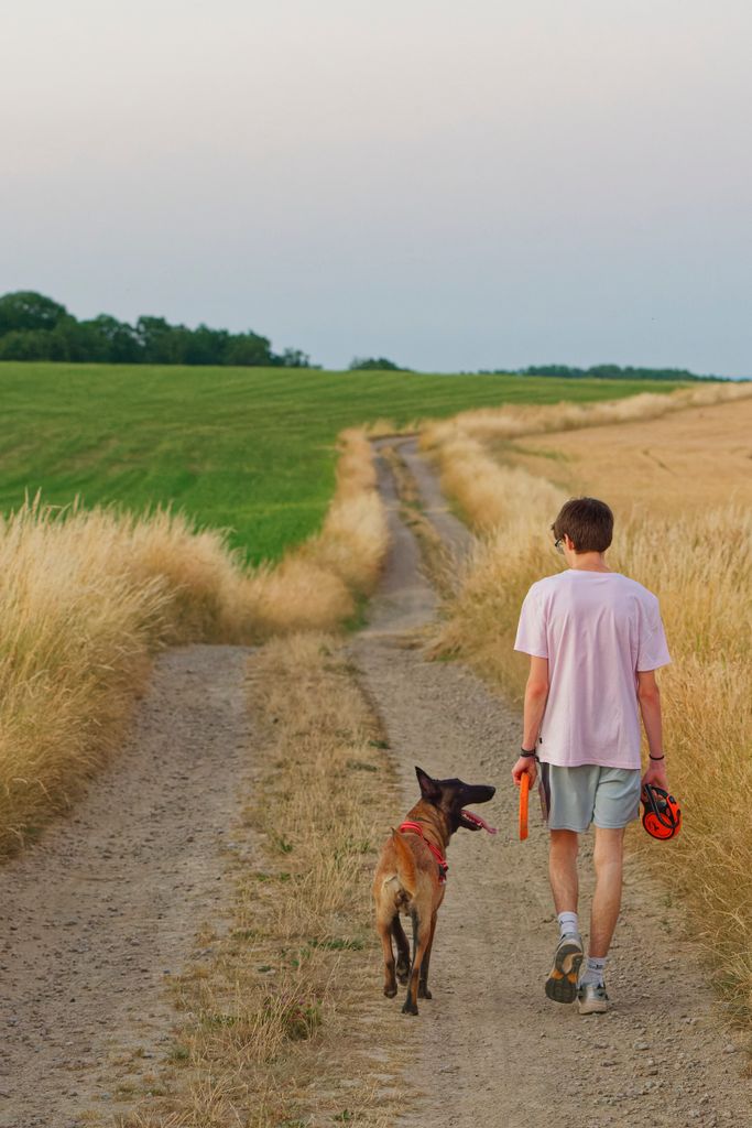 Maison canikiff accompagne client a être connecter a son chien
